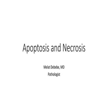 Apoptosis and Necrosis.pptx