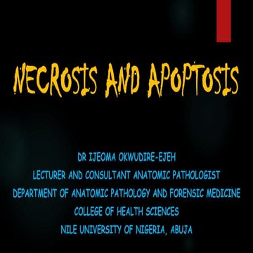APOPTOSIS AND NECROSIS OF THE HUMAN BODY.pdf