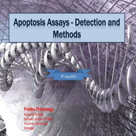 Apoptosis assays   detection and methods