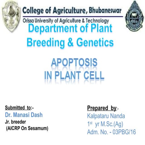 Apoptosis in plant cell