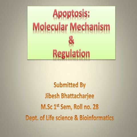 APOPTOSIS : The programmed cell death | PPTX