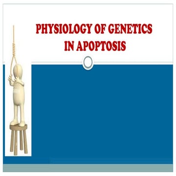 apoptosis for medical student genetics.pptx