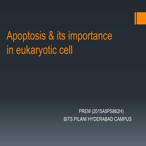 Apoptosis  ppt