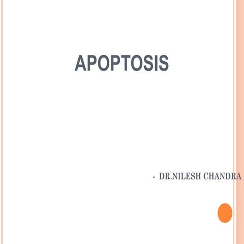 Apoptosis seminar f