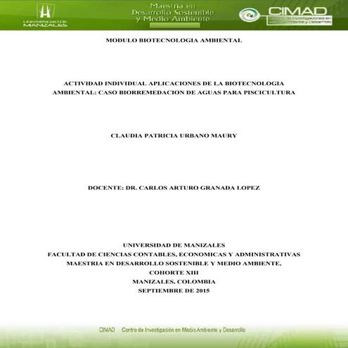 Aporte individual problematica ambiental