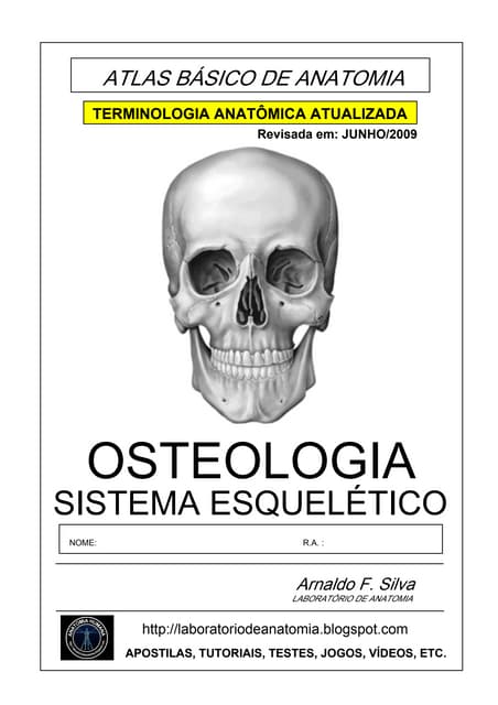 Apostila anatomia-sistema-esqueletico