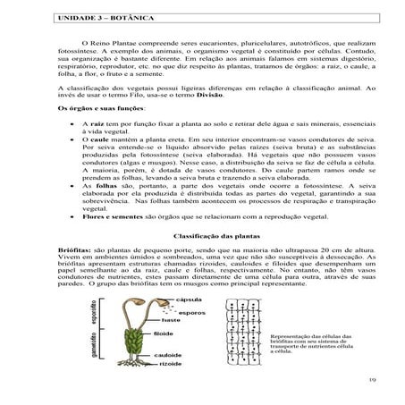 APOSTILA 2EJA 2ANO_biologia ensino medio eja