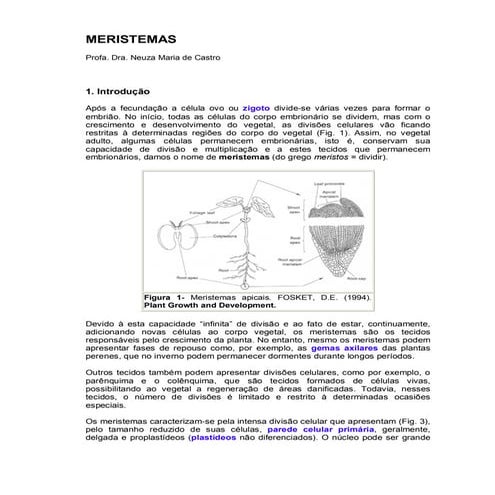 Apostila anatomia vegetal ufu