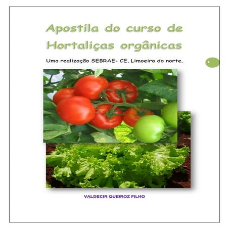 Apostila de hortaliças orgânicas
