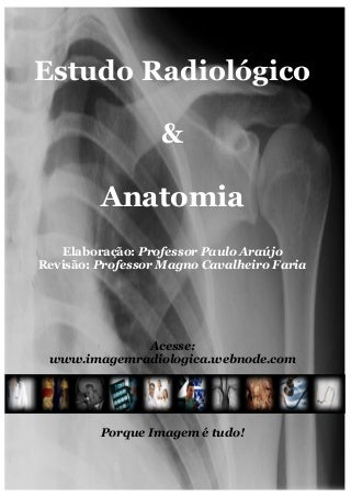 Apostila posicionamento (completa)