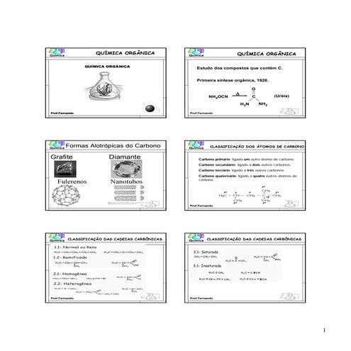 Apostila quimica organica_2009