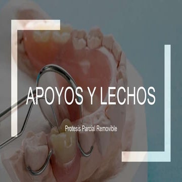 Apoyos y descansos | PPTX