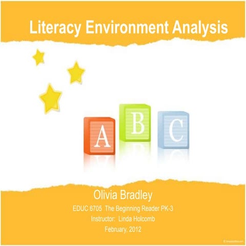 Literate Environment Analysis