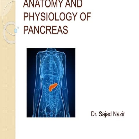 Anatomy and physiology of pancreas