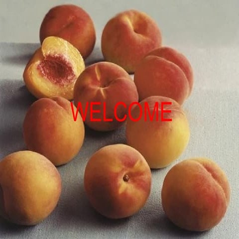 storage quality of peach fruit