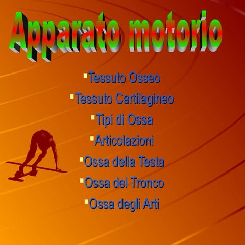 Apparato Motorio