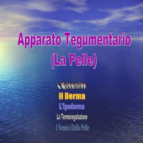 Apparato Tegumentario per Scuola Media