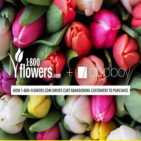 Appboy / 1-800-FLOWERS.COM Case Study