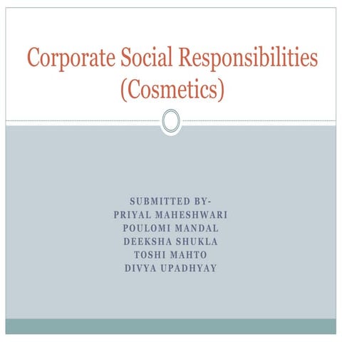 corporate social responsibilities (csr)