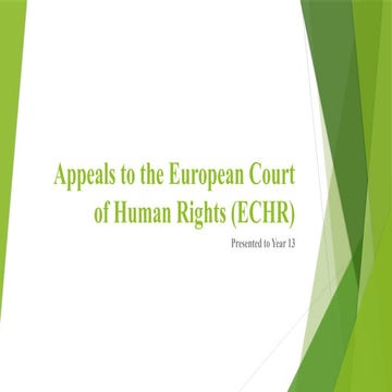 Presentation on the European Court of Human Rights | PDF