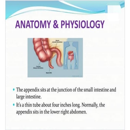 appendicitis.pdf