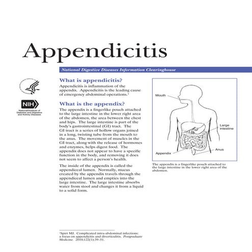 Appendicitis Symptoms, Treatment, and Recovery.pdf