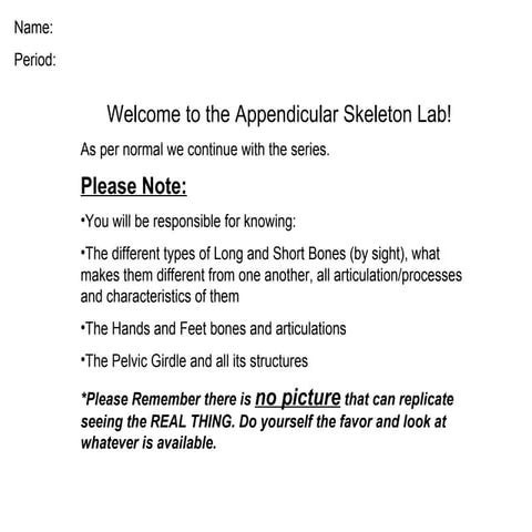 Axial skeleton lab | PPT