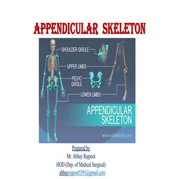 Appendicular skeleton