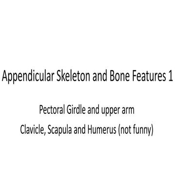 Appendicular skeleton and bone features 1