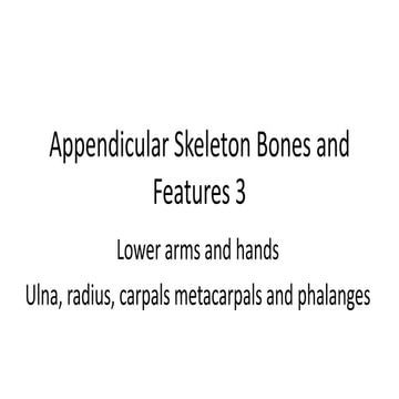 Appendicular skeleton bones and features 3