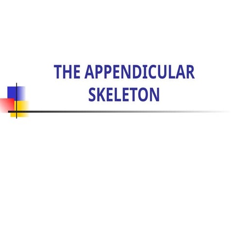 APPENDICULAR SKELETON CK.pptx.@#$_&&_$$#
