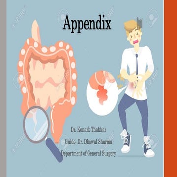 Appendix