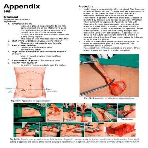 Appendix