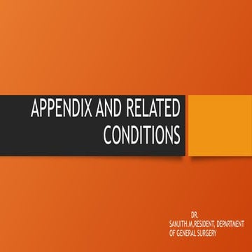 APPENDIX AND CONDITIONS RELATED TO IT.pptx
