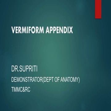 Anatomy of appendix
