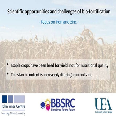 Scientific opportunities and challenges of bio-fortification