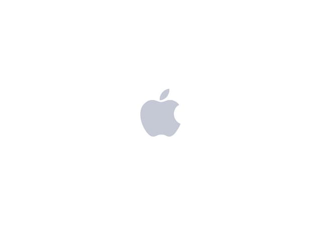 Apple A8 Series Application Processor