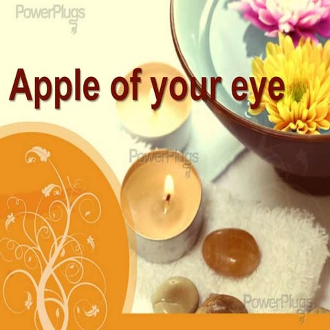 Apple of your eye