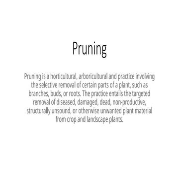 Apple Pruning the basics and how to accomplish.
