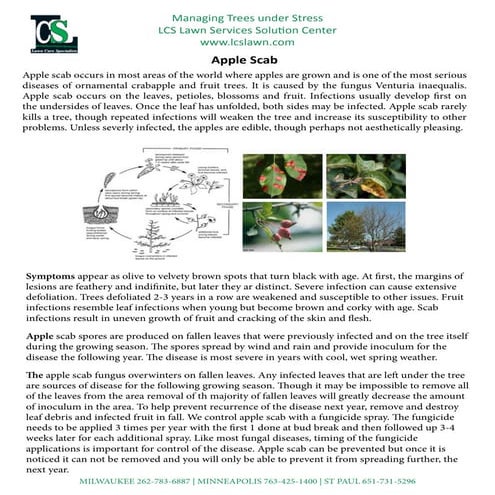 Apple Scab Presentation | PDF