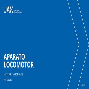 Aparato Locomotor  Plexo Vasos miembros superiores  2024.pptx