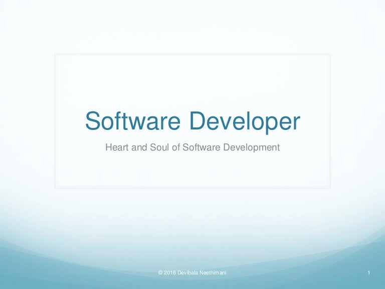 Software Developer
