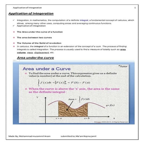 Application of integeration final | DOCX