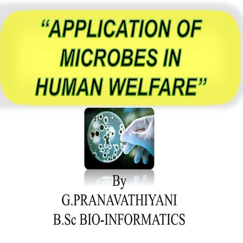 Application of Microbes in Human Welfare