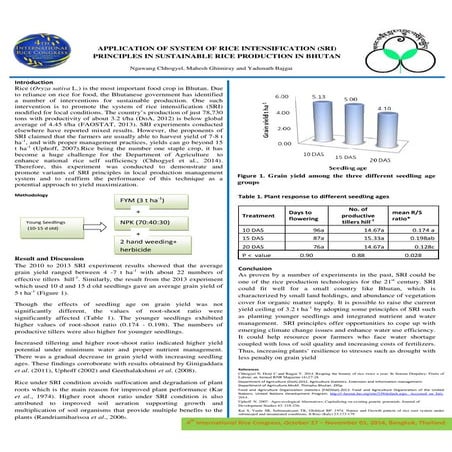 1430 - Application of SRI Principles in Sustainable Rice Production in Bhutan