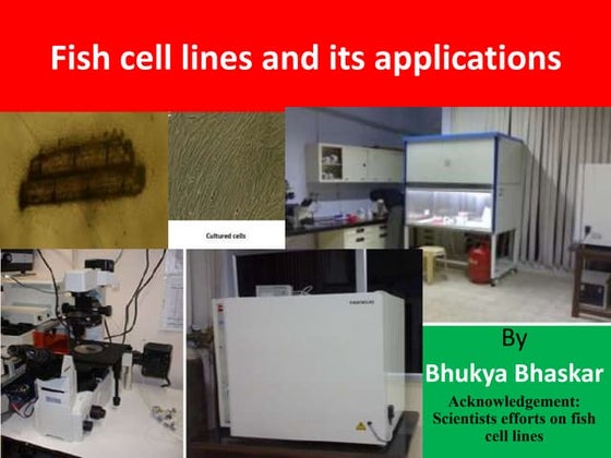 Types of cell culture | PPT