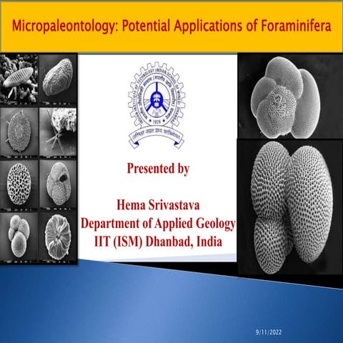 Applications of foraminifera (1).pptx