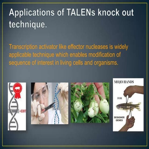 Applications of talens