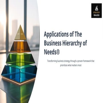 Applications of The Business Hierarchy of Needs
