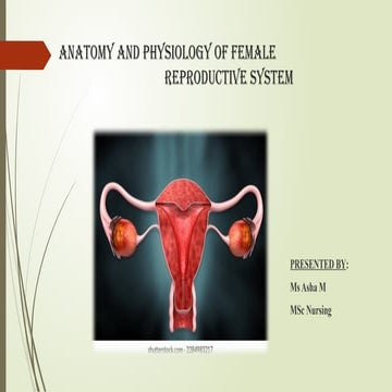 External genitalia | PPTX